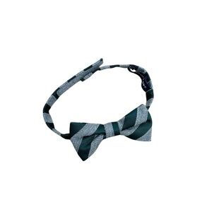 Janie and Jack Dark Green and Gray Striped Bow Tie